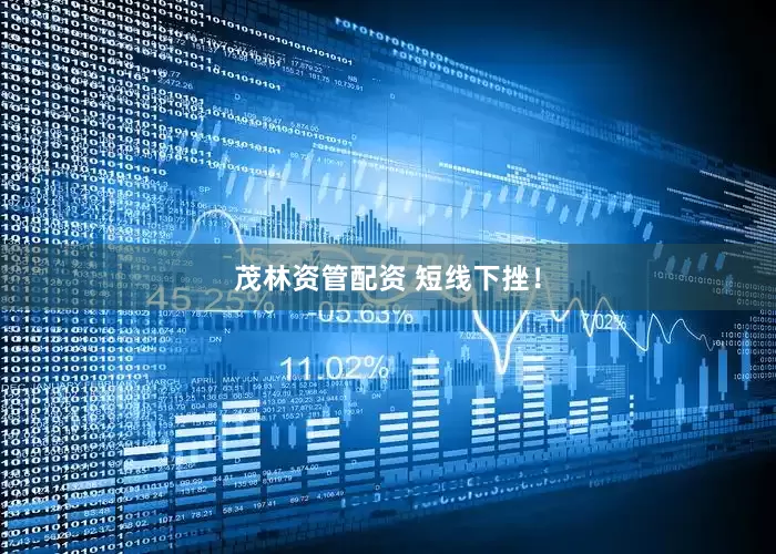 茂林资管配资 短线下挫！