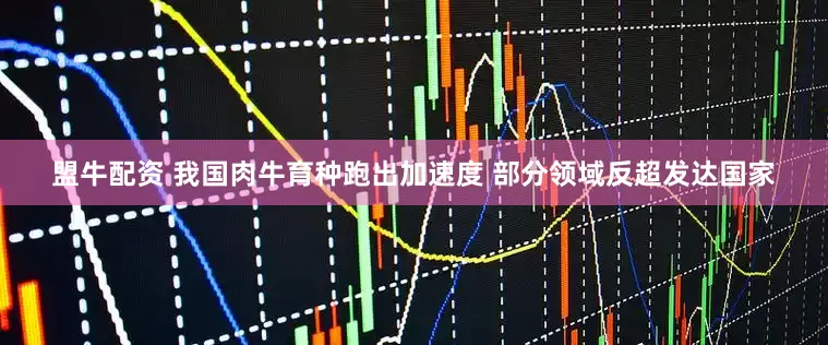 盟牛配资 我国肉牛育种跑出加速度 部分领域反超发达国家