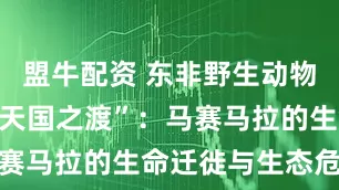 盟牛配资 东非野生动物大迁徙丨“天国之渡”：马赛马拉的生命迁徙与生态危机