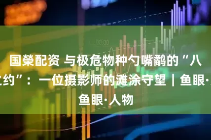 国榮配资 与极危物种勺嘴鹬的“八年之约”：一位摄影师的滩涂守望｜鱼眼·人物