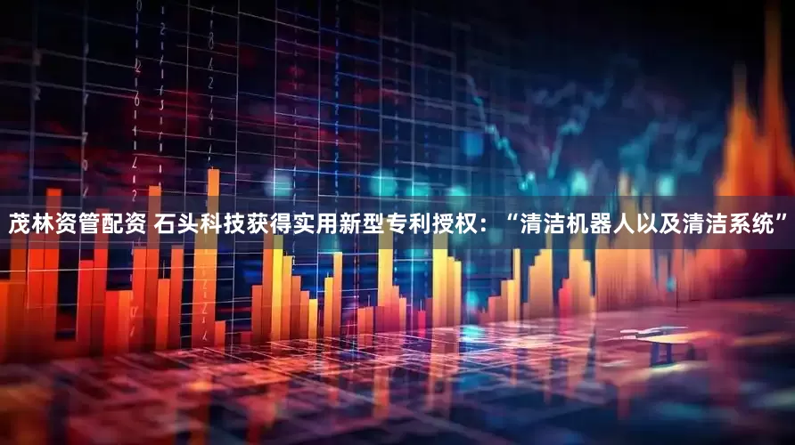茂林资管配资 石头科技获得实用新型专利授权：“清洁机器人以及清洁系统”