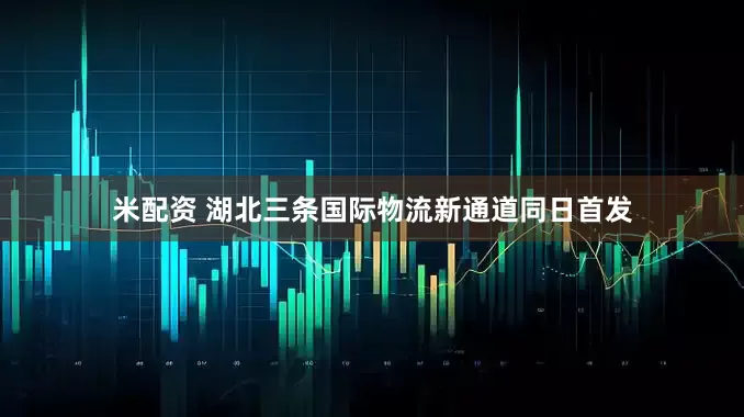 米配资 湖北三条国际物流新通道同日首发